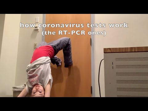 how coronavirus tests work (the traditional RT-PCR ones)
