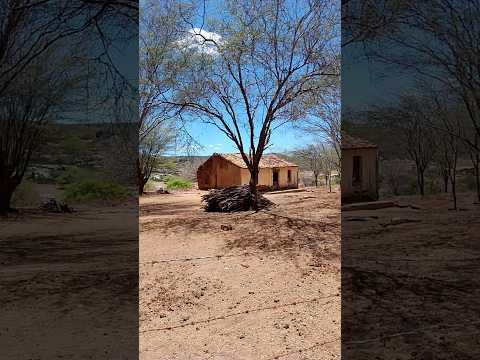 sitio boa vista Tavares PB,,às boas lembranças e recordações  da vida da roça no sertão nordestino!