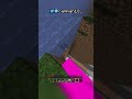 Cursed Minecraft Mp4