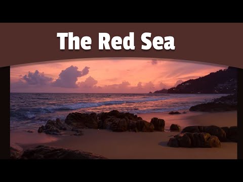 The Red Sea: Brief History and Facts | History Made Easy