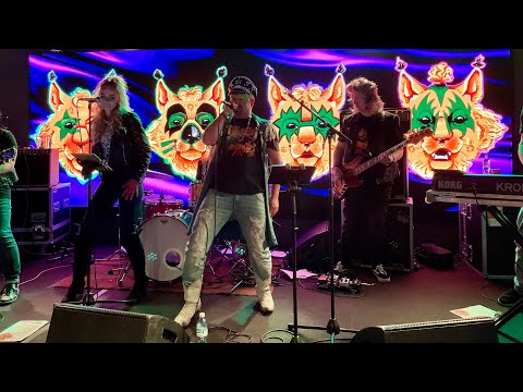 Sami Hintsanen & Def Leopard - Poison