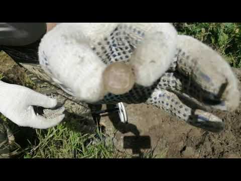 Коп, какой он