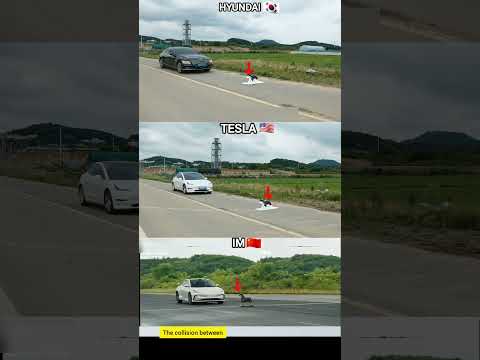 Thumbnail for Tesla & Hyundai FAIL! Chinese EV Saves Dog by IM Motors
