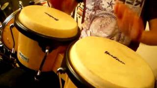 Improvisational Bongo Drumming