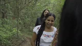 Trailer de Terminal Norte