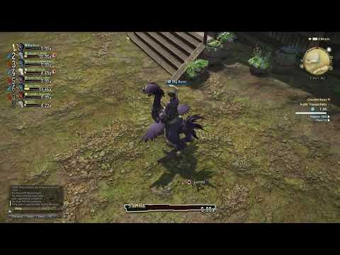 Tranquil Paths | FFXIV Chocobo Racing World Record Time [1:23.86]