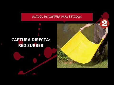 Muestreo de Invertebrados Acuáticos y terrestres.