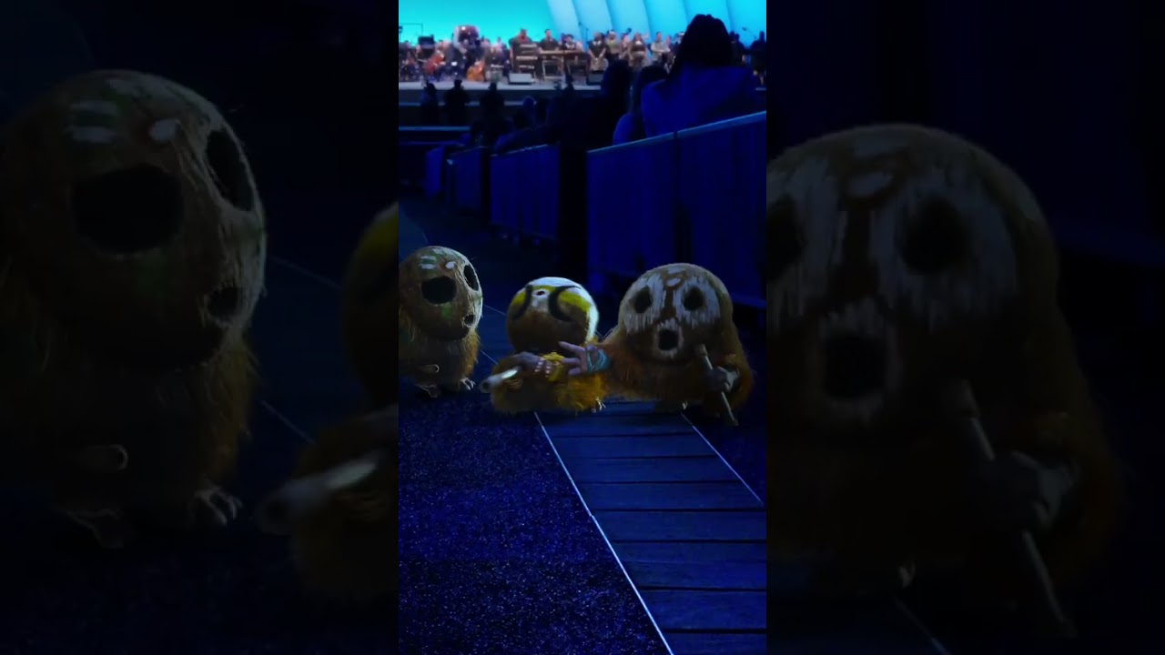 Video náhled