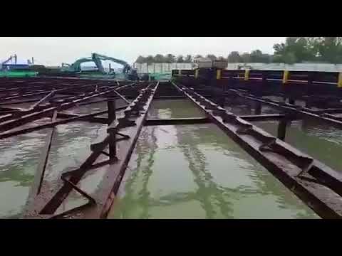 1.53m crocodile at East Coast Park caught and relocated by authorities | The Straits Times