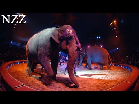 Zirkustiere - Dokumentation von NZZ Format (2007)