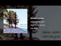 Catherine MacLellan - Sorrows Drown