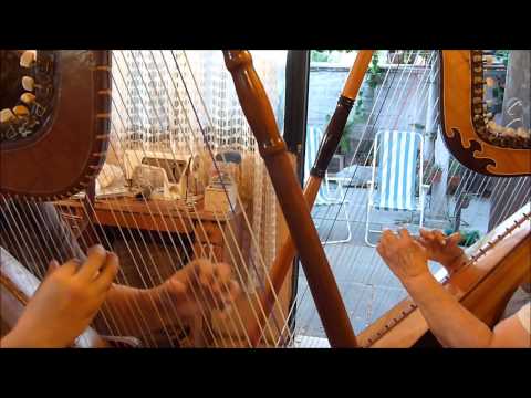 Duo Arpas del Tagua Tagua. Isabel Fuentes y Diego Barrera. Arpa Chilena. Las dos puntas.