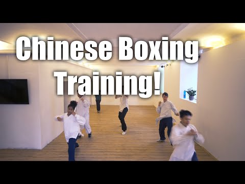 Chinese Boxing Combinations #Wudang #Chinese #Boxing