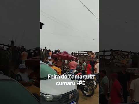 feira do camarada em cumarú -PE