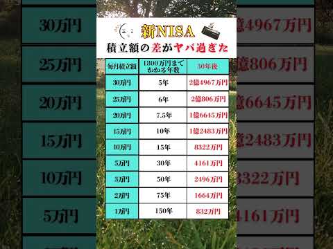 新NISAの積立額の驚きの差
