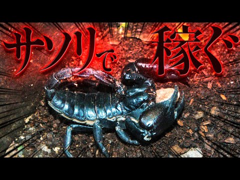 動画編集をさせて頂いてます イメージ1