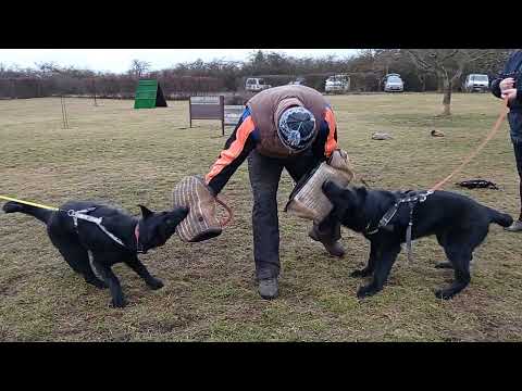 Nicky Orrylordblack -Protection 12/2021