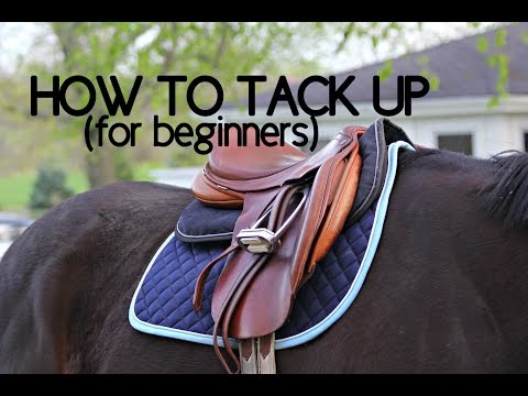 How To Tack Up Your Horse English