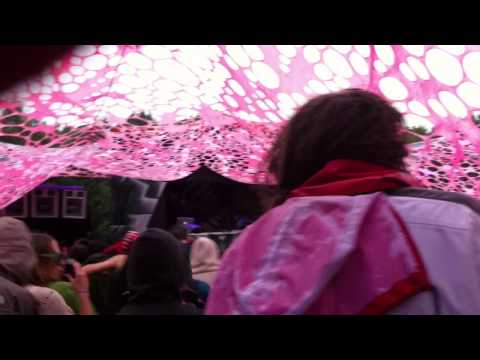 Psycrowdelica 2011 InSector