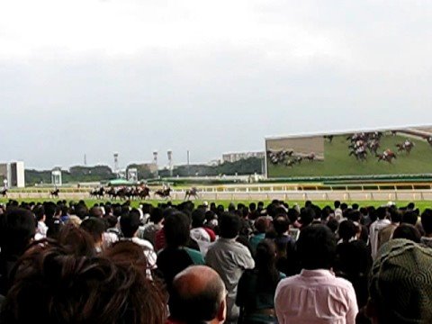 Tokyo Race Course