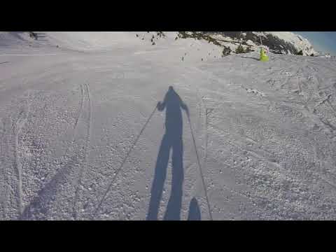 Guineu Blue Slope, Grandvalira