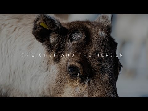 A chef and a heder on reindeer
