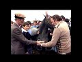Ballinasloe Horse Fair Co Galway Ireland 1985