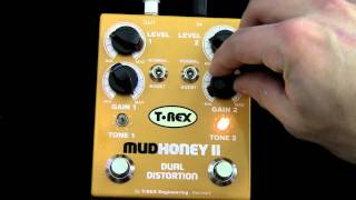 Video thumbnail for T-Rex Mudhoney II in 100 Seconds by docSanchezFX