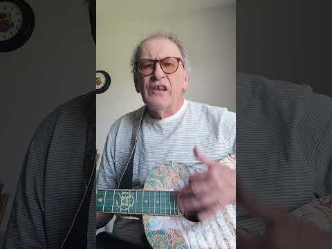 Lindo Sahara Electro Acoustic Guitar
