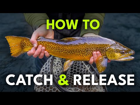 How to Properly Catch & Release Trout for Beginners  | Episode 21