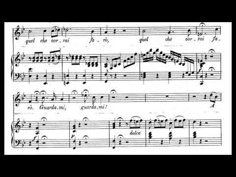 Ernestine Schumann-Heink - Mozart: La clemenza di Tito: Parto parto (1909) [score]