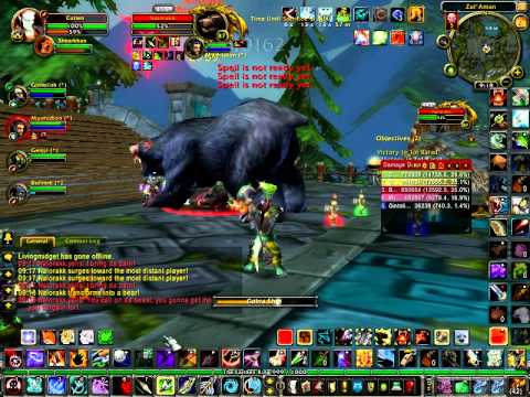 Zul'aman second boss-Nalorakk(Bear Avatar)Hunter