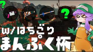 【大会】まんぷく杯ペア部門 withはちごり🐻【スプラトゥーン3/サーモンランNW】