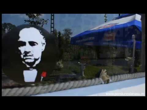 Pensiunea La Nasu Poieni Iasi