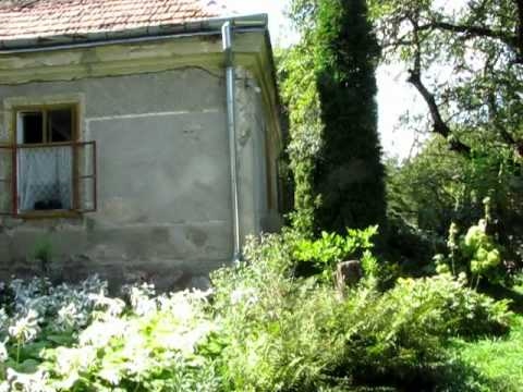 3. Gradina la Doboli.avi