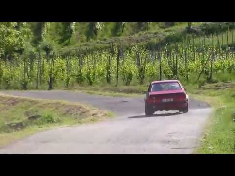 Rally Day Alta Valtidone 2015: Tonelli show