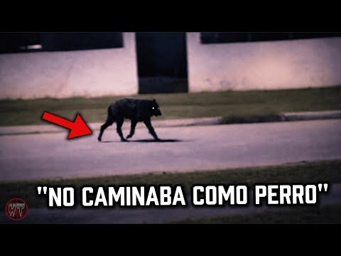 LAS APARICIONES REALES MAS IMPRESIONANTES DEL LOBIZON CAPTADAS EN CAMARA