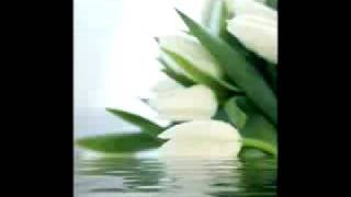 Rod Stewart- For Sentimental Reasons