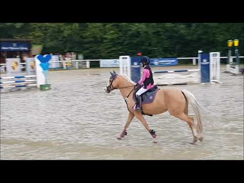 Malu (10) und Duebaree - Stil A* in Kirberg am 12.07.2019