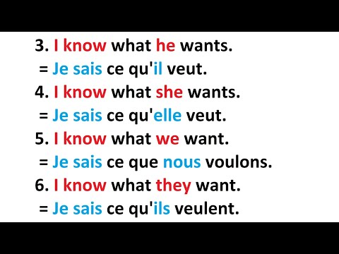 Simple sentences to learn English easily |✪✪easy sentences to learn French 🌿