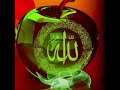 Burdah Mesut Kurtis