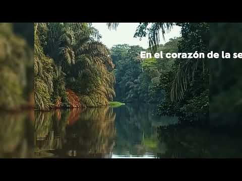 Aventuras en la Selva