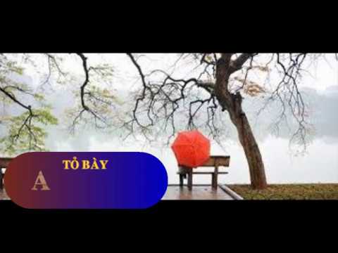 Tỏ bày - Trần Quang Lộc