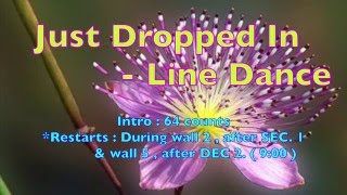 Just Dropped In - Line Dance