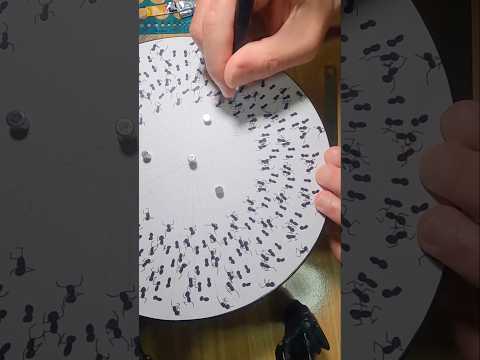 Drawing Dancing Ants on a Turntable