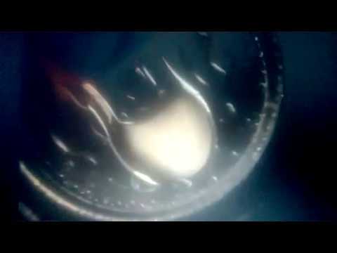 Guinness Pure Genius 1985-1994 Guinness Pure Genius advert with Rutger Hauer 1993