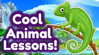 Cool Animal Lessons for Kids | Homeschool Pop