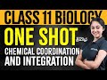 Class 11 Chemical Coordination And Integration Xylem NEET Tamil Xylem NEET Tamil