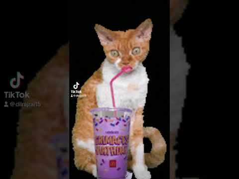 Happy birthday grimace