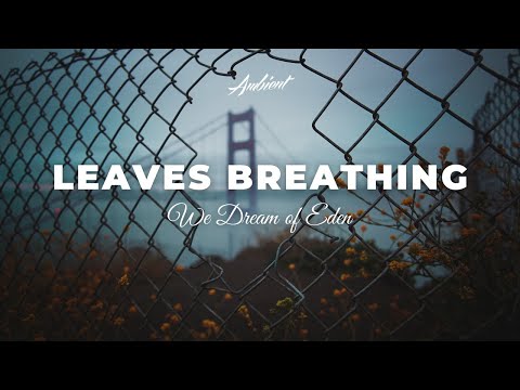 We Dream of Eden - Leaves Breathing [meditation relaxing ambient]